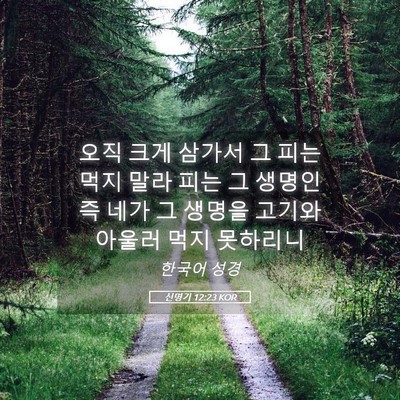 Picture 05 - 신명기 12:23 KOR - 오직 크게 삼가서 그 피는 먹지 말라 - Bible Verse Picture
