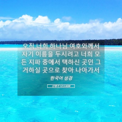 Picture 05 - 신명기 12:5 KOR - 오직 너희 하나님 여호와께서 자기 - Bible Verse Picture