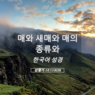 Picture 05 - 신명기 14:13 KOR - 매와 새매와 매의 - Bible Verse Picture