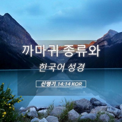 Picture 05 - 신명기 14:14 KOR - 까마귀 - Bible Verse Picture