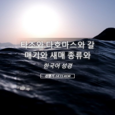 Picture 05 - 신명기 14:15 KOR - 타조와 다호마스와 갈매기와 새매 - Bible Verse Picture