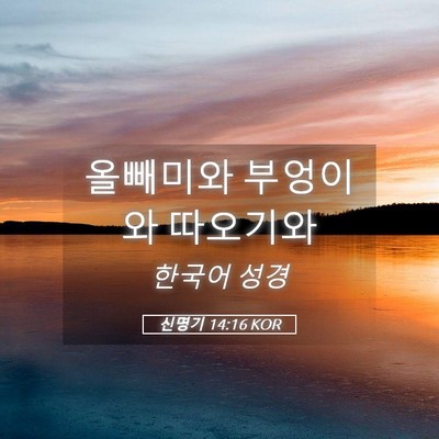 Picture 05 - 신명기 14:16 KOR - 올빼미와 부엉이와 - Bible Verse Picture