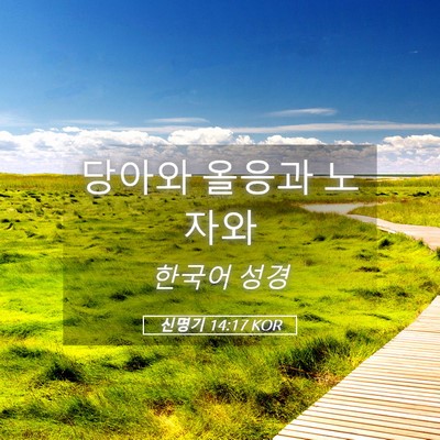 Picture 05 - 신명기 14:17 KOR - 당아와 올응과 - Bible Verse Picture