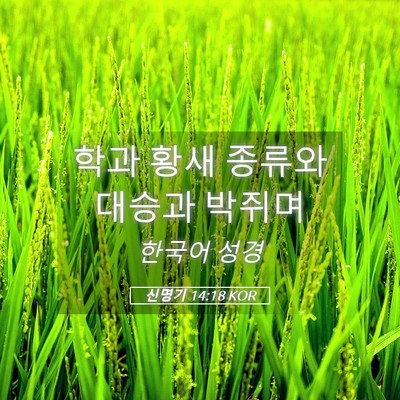 Picture 05 - 신명기 14:18 KOR - 학과 황새 종류와 대승과 - Bible Verse Picture