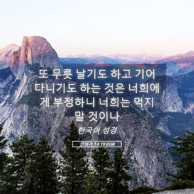 Picture 05 - 신명기 14:19 KOR - 또 무릇 날기도 하고 기어 다니기도 - Bible Verse Picture