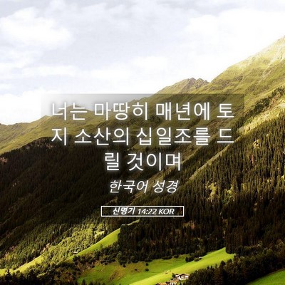 Picture 05 - 신명기 14:22 KOR - 너는 마땅히 매년에 토지 소산의 - Bible Verse Picture