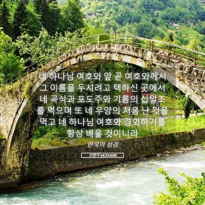 Picture 05 - 신명기 14:23 KOR - 네 하나님 여호와 앞 곧 여호와께서 - Bible Verse Picture