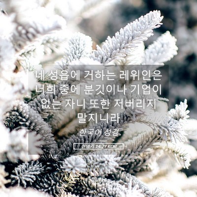 Picture 05 - 신명기 14:27 KOR - 네 성읍에 거하는 레위인은 너희 - Bible Verse Picture