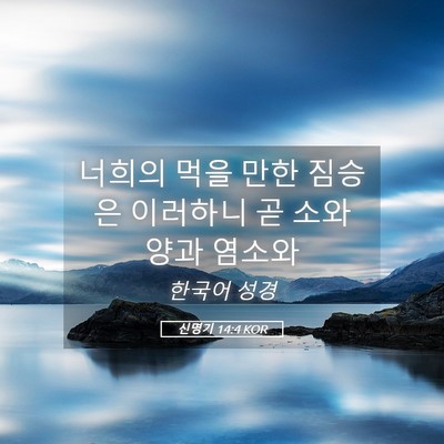 Picture 05 - 신명기 14:4 KOR - 너희의 먹을 만한 짐승은 이러하니 - Bible Verse Picture