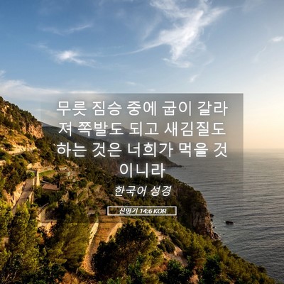 Picture 05 - 신명기 14:6 KOR - 무릇 짐승 중에 굽이 갈라져 쪽발도 - Bible Verse Picture