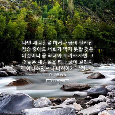 Picture 05 - 신명기 14:7 KOR - 다만 새김질을 하거나 굽이 갈라진 - Bible Verse Picture