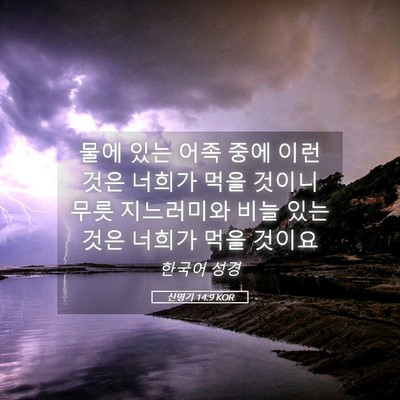 Picture 05 - 신명기 14:9 KOR - 물에 있는 어족 중에 이런 것은 - Bible Verse Picture