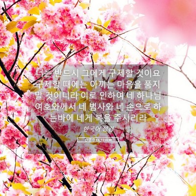Picture 05 - 신명기 15:10 KOR - 너는 반드시 그에게 구제할 것이요 - Bible Verse Picture