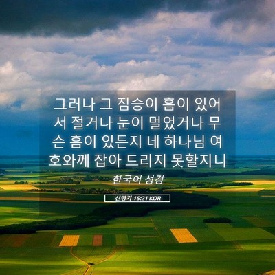 Picture 05 - 신명기 15:21 KOR - 그러나 그 짐승이 흠이 있어서 - Bible Verse Picture