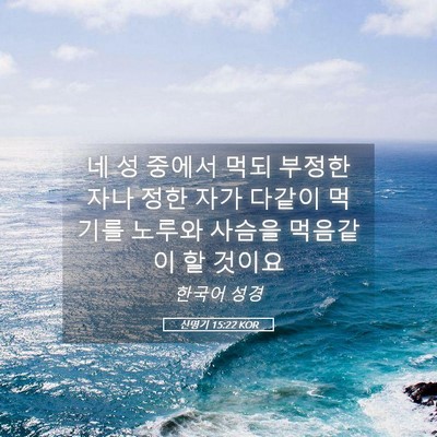 Picture 05 - 신명기 15:22 KOR - 네 성 중에서 먹되 부정한 자나 정한 - Bible Verse Picture