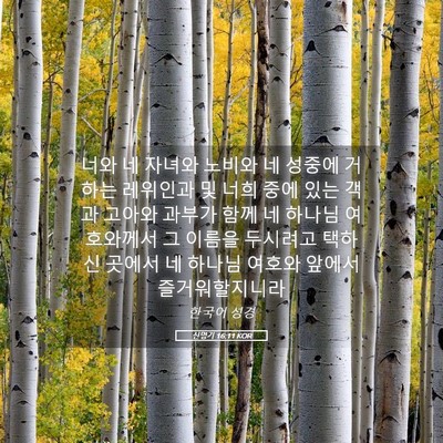 Picture 05 - 신명기 16:11 KOR - 너와 네 자녀와 노비와 네 성중에 - Bible Verse Picture