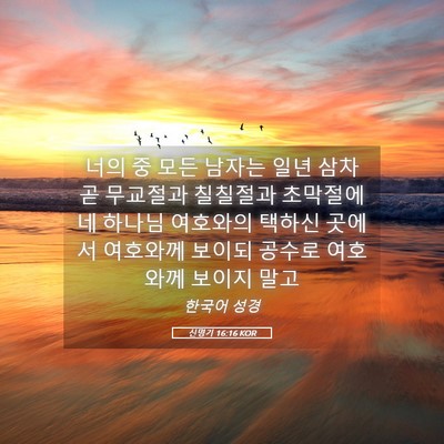 Picture 05 - 신명기 16:16 KOR - 너의 중 모든 남자는 일년 삼차 곧 - Bible Verse Picture