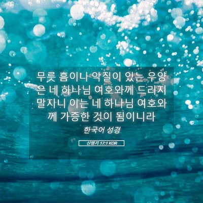 Picture 05 - 신명기 17:1 KOR - 무릇 흠이나 악질이 있는 우양은 네 - Bible Verse Picture
