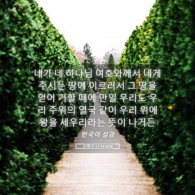 Picture 05 - 신명기 17:14 KOR - 네가 네 하나님 여호와께서 네게 - Bible Verse Picture