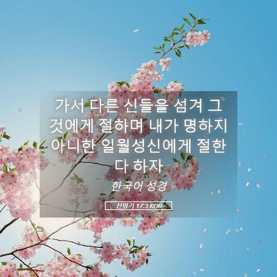 Picture 05 - 신명기 17:3 KOR - 가서 다른 신들을 섬겨 그것에게 - Bible Verse Picture