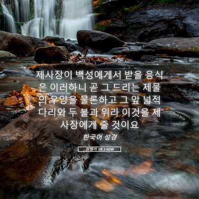 Picture 05 - 신명기 18:3 KOR - 제사장이 백성에게서 받을 응식은 - Bible Verse Picture