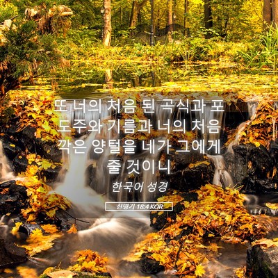 Picture 05 - 신명기 18:4 KOR - 또 너의 처음 된 곡식과 포도주와 - Bible Verse Picture