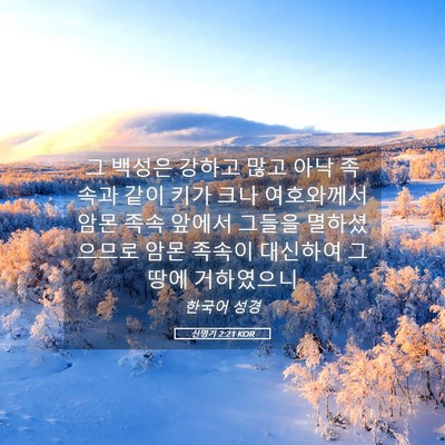 Picture 05 - 신명기 2:21 KOR - 그 백성은 강하고 많고 아낙 족속과 - Bible Verse Picture