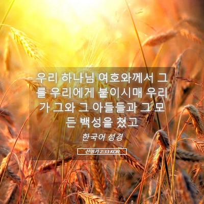 Picture 05 - 신명기 2:33 KOR - 우리 하나님 여호와께서 그를 - Bible Verse Picture