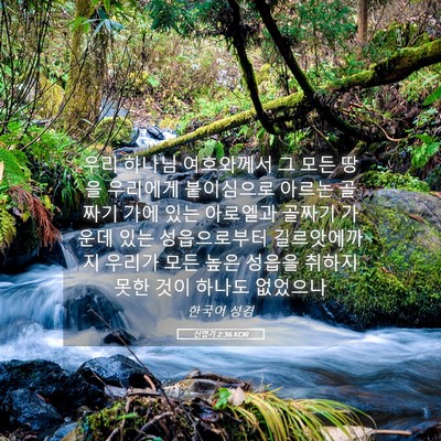 Picture 05 - 신명기 2:36 KOR - 우리 하나님 여호와께서 그 모든 - Bible Verse Picture