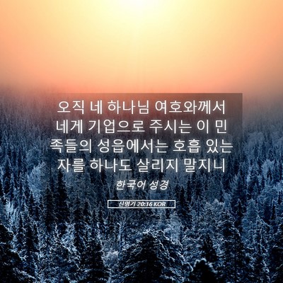 Picture 05 - 신명기 20:16 KOR - 오직 네 하나님 여호와께서 네게 - Bible Verse Picture