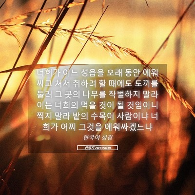 Picture 05 - 신명기 20:19 KOR - 너희가 어느 성읍을 오래 동안 - Bible Verse Picture