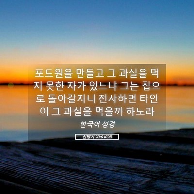 Picture 05 - 신명기 20:6 KOR - 포도원을 만들고 그 과실을 먹지 - Bible Verse Picture