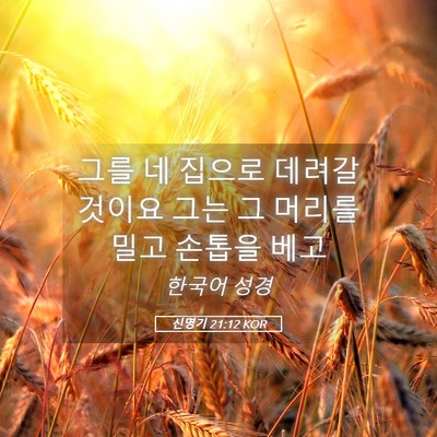 Picture 05 - 신명기 21:12 KOR - 그를 네 집으로 데려갈 것이요 그는 - Bible Verse Picture