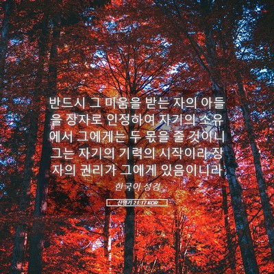 Picture 05 - 신명기 21:17 KOR - 반드시 그 미움을 받는 자의 아들을 - Bible Verse Picture