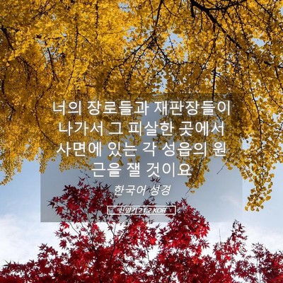 Picture 05 - 신명기 21:2 KOR - 너의 장로들과 재판장들이 나가서 그 - Bible Verse Picture