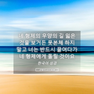 Picture 05 - 신명기 22:1 KOR - 네 형제의 우양의 길 잃은 것을 - Bible Verse Picture
