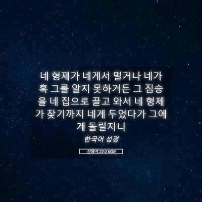 Picture 05 - 신명기 22:2 KOR - 네 형제가 네게서 멀거나 네가 혹 - Bible Verse Picture