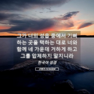 Picture 05 - 신명기 23:16 KOR - 그가 너의 성읍 중에서 기뻐하는 - Bible Verse Picture