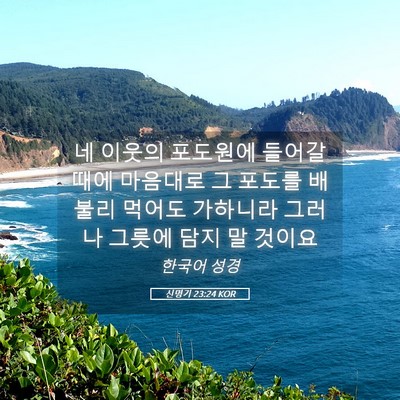 Picture 05 - 신명기 23:24 KOR - 네 이웃의 포도원에 들어갈 때에 - Bible Verse Picture