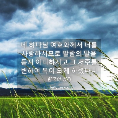 Picture 05 - 신명기 23:5 KOR - 네 하나님 여호와께서 너를 - Bible Verse Picture