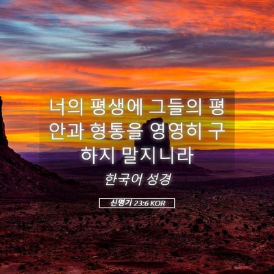 Picture 05 - 신명기 23:6 KOR - 너의 평생에 그들의 평안과 형통을 - Bible Verse Picture