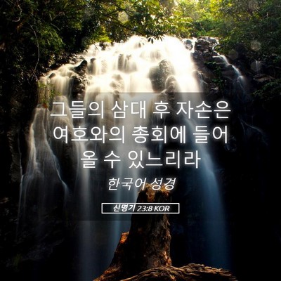 Picture 05 - 신명기 23:8 KOR - 그들의 삼대 후 자손은 여호와의 - Bible Verse Picture