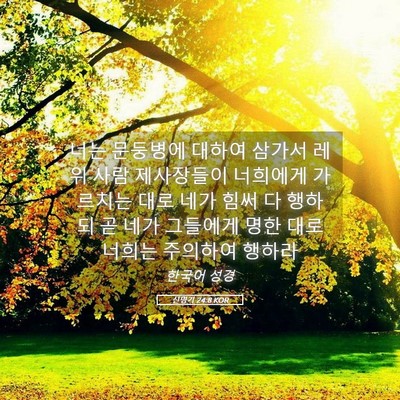Picture 05 - 신명기 24:8 KOR - 너는 문둥병에 대하여 삼가서 레위 - Bible Verse Picture