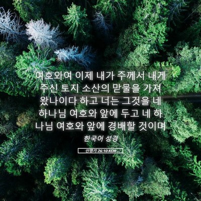 Picture 05 - 신명기 26:10 KOR - 여호와여 이제 내가 주께서 내게 - Bible Verse Picture