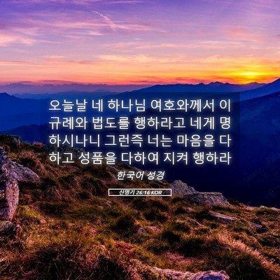 Picture 05 - 신명기 26:16 KOR - 오늘날 네 하나님 여호와께서 이 - Bible Verse Picture