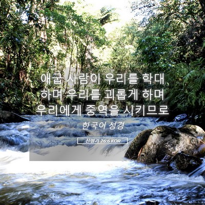 Picture 05 - 신명기 26:6 KOR - 애굽 사람이 우리를 학대하며 우리를 - Bible Verse Picture