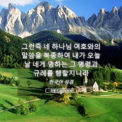 Picture 05 - 신명기 27:10 KOR - 그런즉 네 하나님 여호와의 말씀을 - Bible Verse Picture