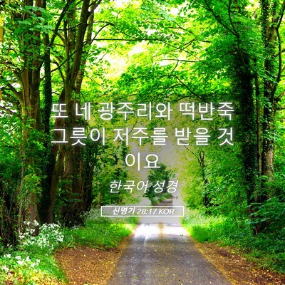 Picture 05 - 신명기 28:17 KOR - 또 네 광주리와 떡반죽 그릇이 - Bible Verse Picture
