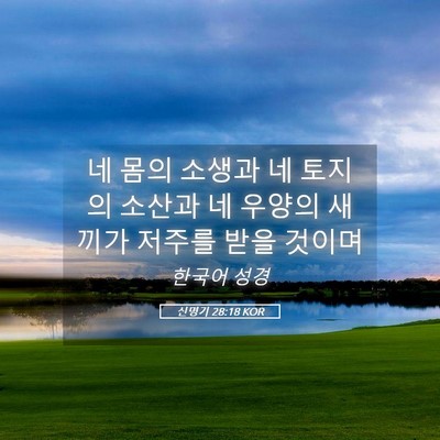 Picture 05 - 신명기 28:18 KOR - 네 몸의 소생과 네 토지의 소산과 네 - Bible Verse Picture