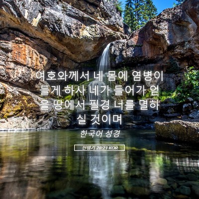 Picture 05 - 신명기 28:21 KOR - 여호와께서 네 몸에 염병이 들게 - Bible Verse Picture